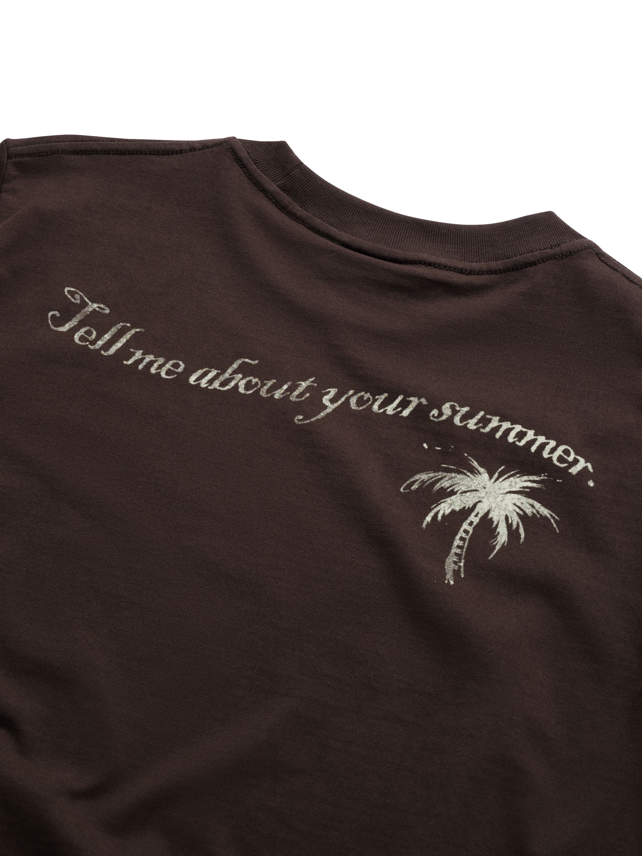 Áo "Tell Me Your Summer" Tee Regular T-Shirt Nâu