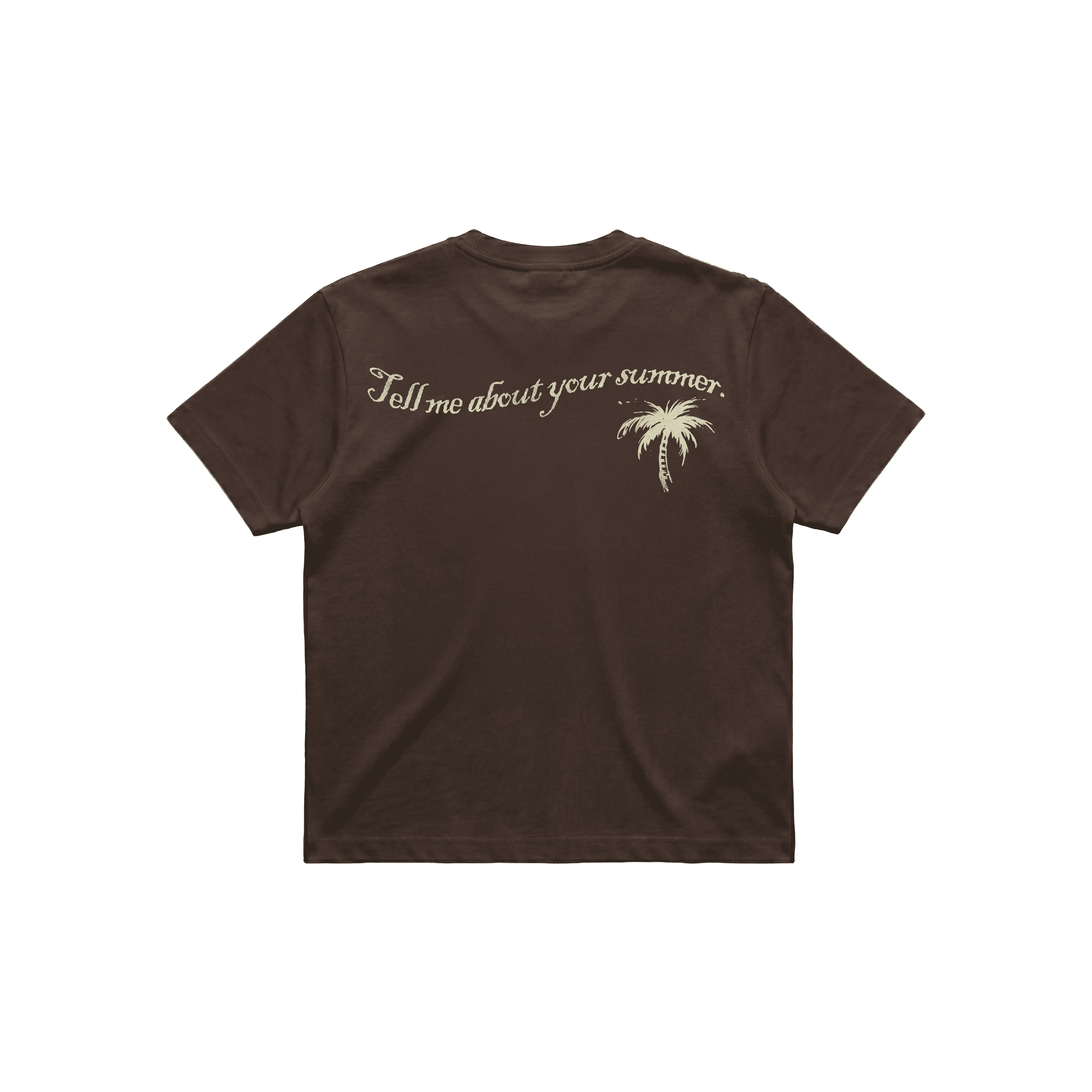 Áo "Tell Me Your Summer" Tee Regular T-Shirt Nâu